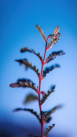 Close up of a red leaf against a blue background. Shallow depth of field. generative ai