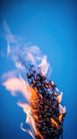 Burning plant on a blue background. Close-up. Macro. Shallow depth of field. generative aiの素材