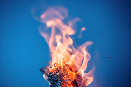 Burning plant on a blue background. Close-up. Macro. Shallow depth of field. generative aiの素材