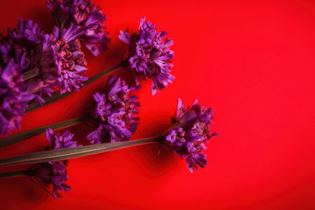 Purple carnation flowers on red background with copy space for text. generative aiの素材