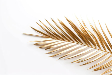 Gold palm leaf isolated on white background. AI Generatedの素材