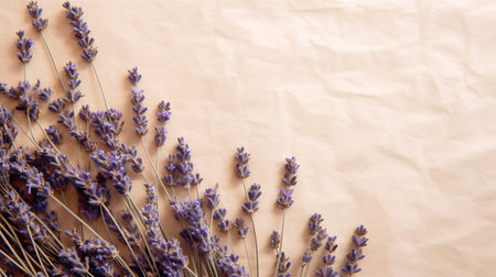 Lavender flowers on crumpled paper background, top view. AI Generatedの素材