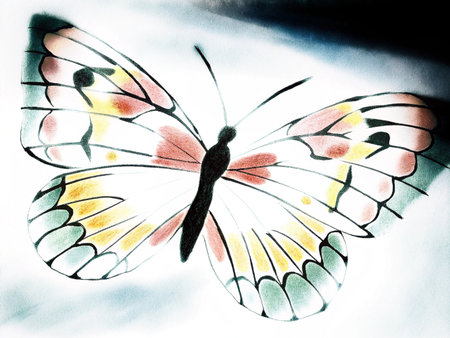 Watercolor butterfly on white background. Hand drawn watercolor illustration.の素材
