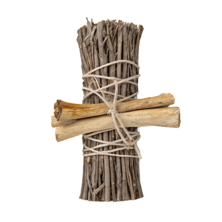 Decorative dry twigs isolated on a white background. Clipping Pathの素材