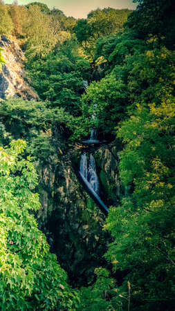 Waterfall in the forestの写真素材