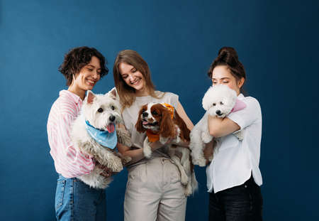 Three young women holding their cute little dogs while standing in studio against blue backgroundの写真素材