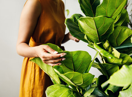 Hand of a young botanist holding a leaf. Woman florist working in plant shop.の写真素材