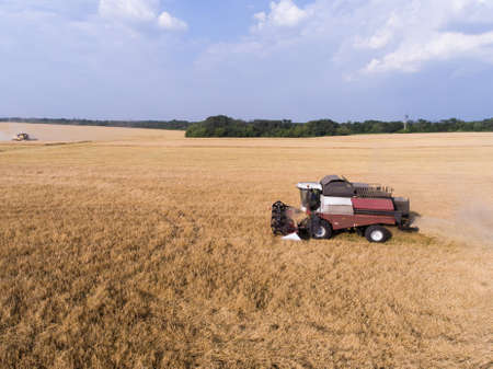 harvester on the wheat field from the top view
