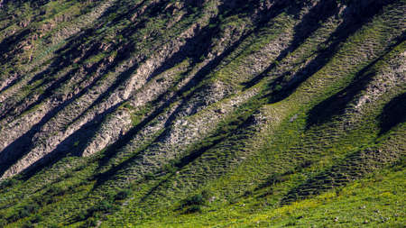 ili zhaosu xiata, Xinjiangの写真素材