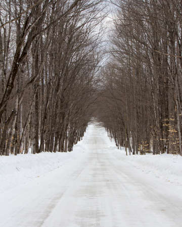 Snowy Road to Nowhereの写真素材
