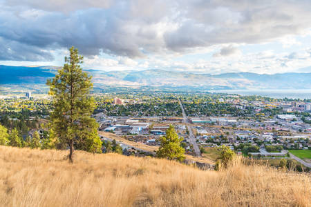 Ponderosa pine trees and grasses on Knox Mountain with view of city of Kelowna and mountains in distanceの写真素材