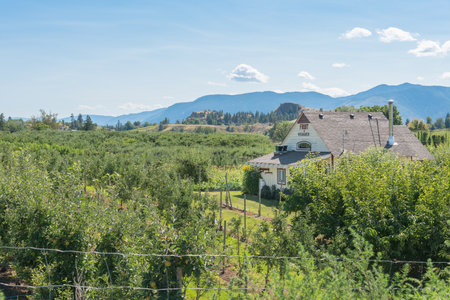 Penticton, British Columbia/Canada - August 1, 2017: The Trail Store, located beside the Kettle Valley Rail Trail, is a popular stop for people walking or biking the trail.のeditorial素材