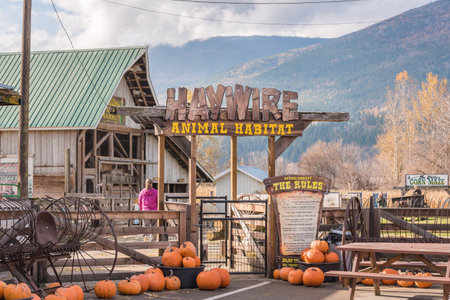 Salmon Arm, British Columbia/Canada - October 23, 2016: the animal habitat and petting zoo at DeMille's Farm Market, a popular location for tourists and locals in the Shuswap region.のeditorial素材