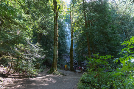 Chilliwack, British Columbia/Canada - September 10, 2016: hikers dwarfed by cedar trees stand on the plaform to view Bridal Veil Falls, a popular tourist attraction.のeditorial素材