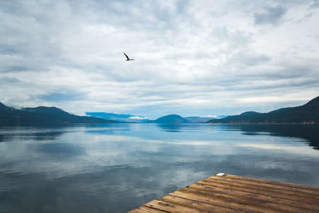 Moody landscape with dark clouds reflecting in calm lake with view of mountains and flying bird in skyの写真素材