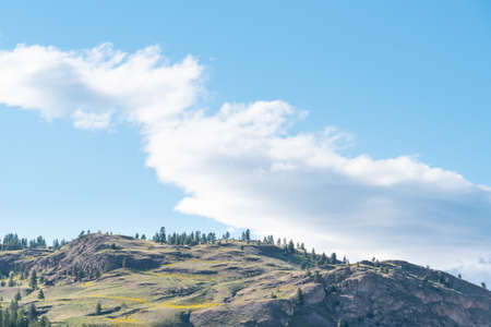 Distant mountainside with yellow wildflowers and blue sky in Okanagan Valleyの写真素材