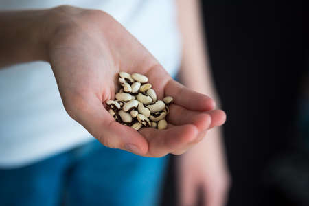 Close-up of woman's hand holding yellow wax bean seeds ready to plant in gardenの写真素材