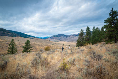 Man standing on hiking trail in grasslands, looking at distant snow-capped mountainsの写真素材