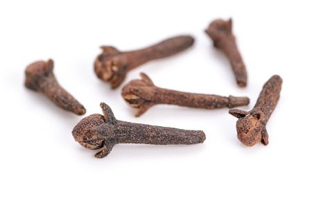 cloves on the white backgroundの写真素材