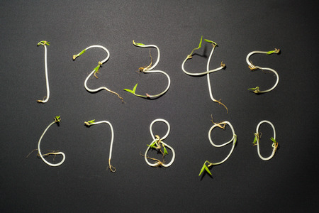 numbers made of bean sprouts on the blackboard