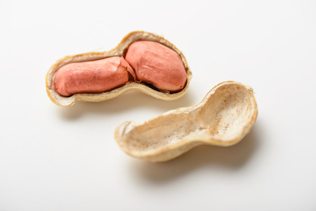 peanuts on the white background.の写真素材