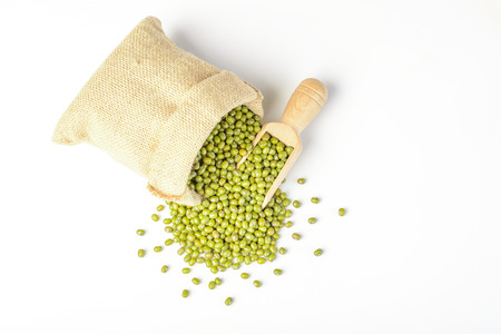mung beanの写真素材