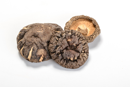 dried shitake mushroom on the white backgroundの写真素材