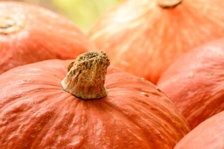 close up of orange pumpkinsの写真素材