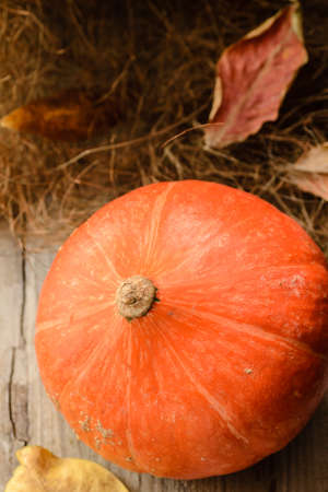 orange pumpkins on the wooden boardの写真素材