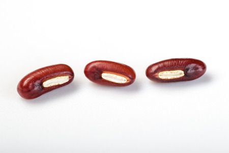 red beanの写真素材