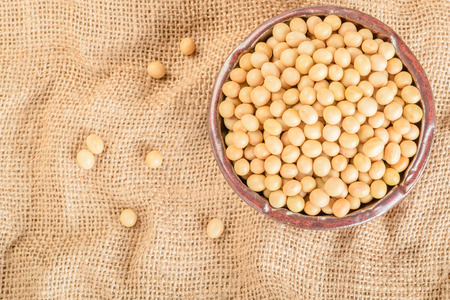soybean on the linen backgroundの写真素材