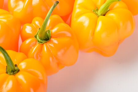 yellow emperor pepper, capsicum chinense, on the white backgroundの写真素材