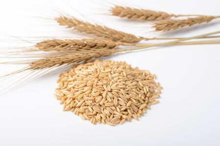 oats on the white background