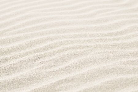 Sand textureの写真素材