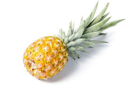 pineappleの写真素材