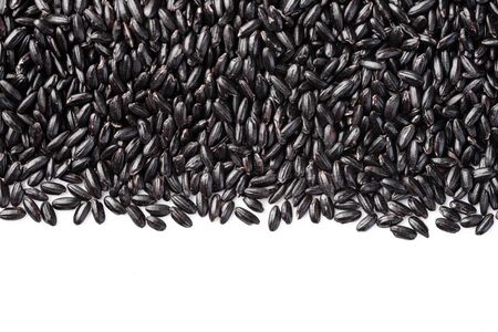 black rice on the white backgroundの写真素材