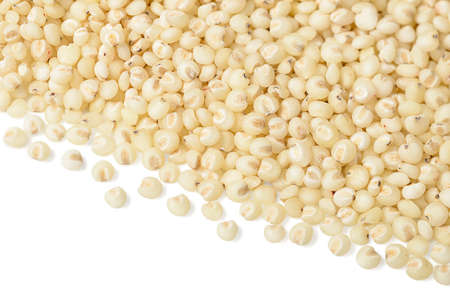 food background of sorghumの写真素材