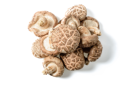 fresh winter mushroom on whiteの写真素材