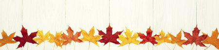 autumn background of fall leaves on the wooden board, top view;