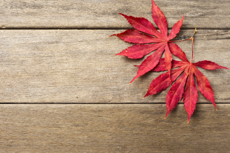 autumn background of fall leaves on the wooden board, top view;