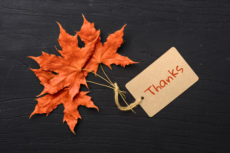 red maple leaves and thanks label on the black wooden board, top viewの写真素材