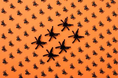 Halloween background, black spiders on the orange backgroundの写真素材
