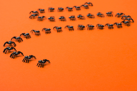 Halloween background, black spiders on the orange backgroundの写真素材