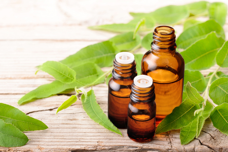eucalyptus essential oil in the glass bottle, on the wooden boardの写真素材