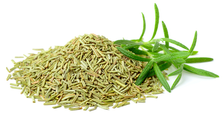 dried rosemary leaves with fresh rosemary isolated on whiteの写真素材