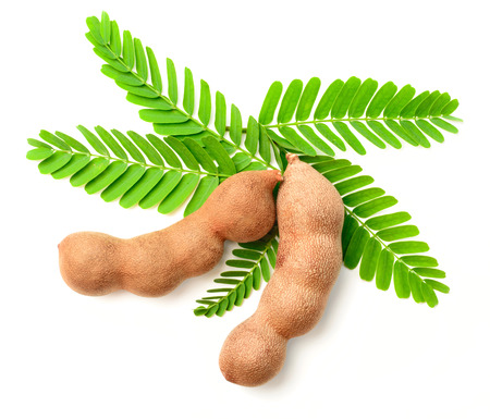 fresh tamarind fruits and leaves isolated on white backgroundの写真素材