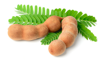 fresh tamarind fruits and leaves isolated on white backgroundの写真素材