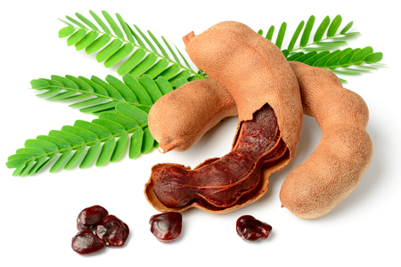 fresh tamarind fruits and leaves isolated on whiteの写真素材
