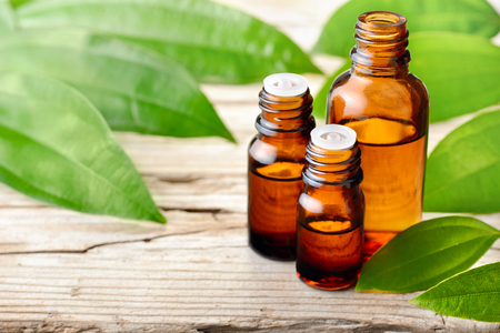 cinnamon leaf essential oil and fresh cinnamon leaves on the wooden boardの写真素材