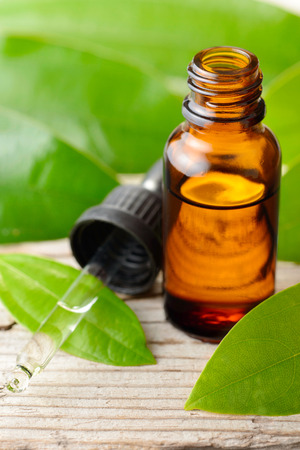 cinnamon oil and fresh cinnamon leaves on the wooden boardの写真素材